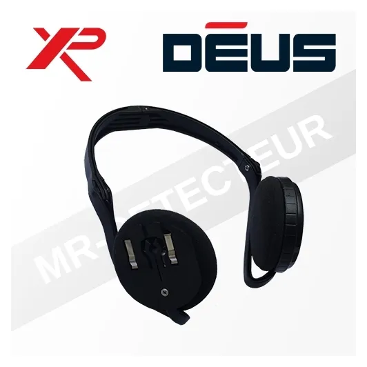 Arceau Casque WS4 et WSA XP