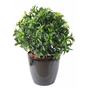 Laurier artificiel en pot buisson extérieur h55cm