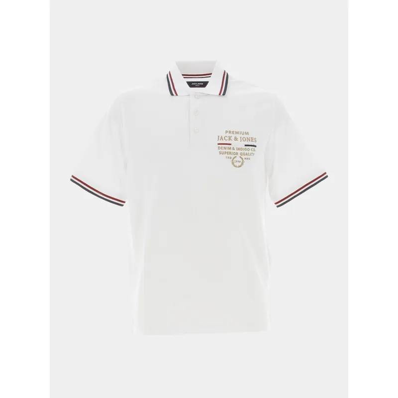 Polo manches longues niros gris homme - Oxbow | wimod