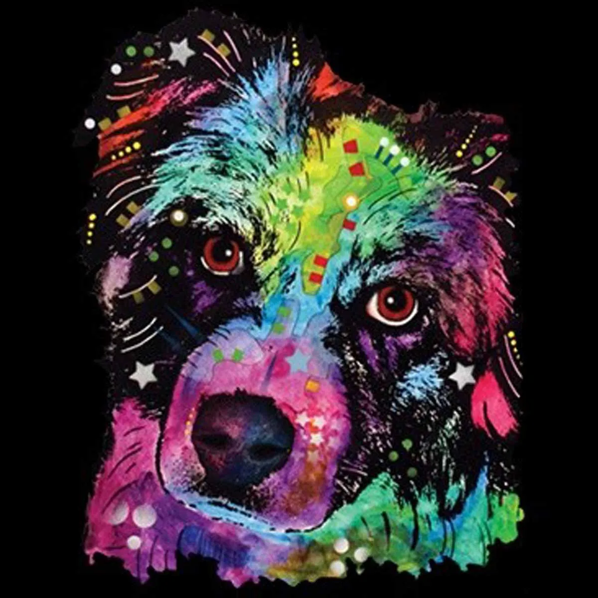 T-shirt FEMME manches courtes - Chien berger australien couleurs - 6745 - noir 
